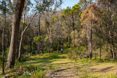 Lifestyle For Sale - NSW - Goulburn - 2580 - Untouched Natural Getaway  (Image 2)