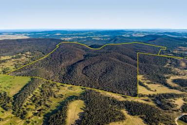 Lifestyle For Sale - NSW - Goulburn - 2580 - Untouched Natural Getaway  (Image 2)