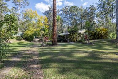 Lifestyle For Sale - NSW - Nymboida - 2460 - VENDORS MOTIVATION HAS INCREASED - OFFERS SOUGHT  (Image 2)