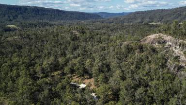 Lifestyle For Sale - NSW - Nymboida - 2460 - TRANQUIL RETREAT WITH MULTIPLE BUILDINGS & SHEDS  (Image 2)