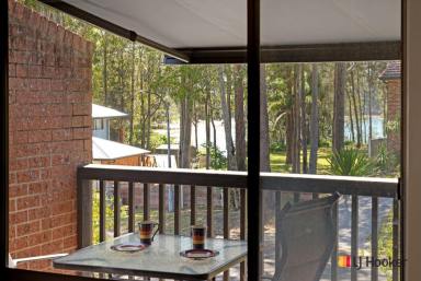 Duplex/Semi-detached For Sale - NSW - Sunshine Bay - 2536 - CHRISTMAS HOLIDAYS SORTED!  (Image 2)