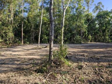 Residential Block For Sale - QLD - Cardwell - 4849 - Rural Acreage Close to Cardwell  (Image 2)