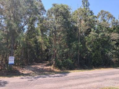 Residential Block For Sale - QLD - Cardwell - 4849 - Rural Acreage Close to Cardwell  (Image 2)