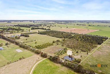 Acreage/Semi-rural For Sale - VIC - Bairnsdale - 3875 - Edge of Town Hobby Farm with Nature Lover's Haven  (Image 2)