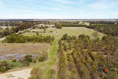 Acreage/Semi-rural For Sale - VIC - Bairnsdale - 3875 - Edge of Town Hobby Farm with Nature Lover's Haven  (Image 2)