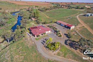 House Sold - SA - Hamley Bridge - 5401 - UNDER CONTRACT BY ANDREW PIKE  (Image 2)