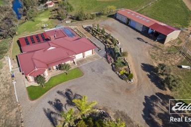 House Sold - SA - Hamley Bridge - 5401 - UNDER CONTRACT BY ANDREW PIKE  (Image 2)