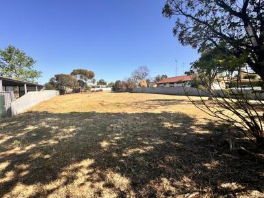 Residential Block Auction - VIC - Ouyen - 3490 - Affordable 1/4 acre block!  (Image 2)