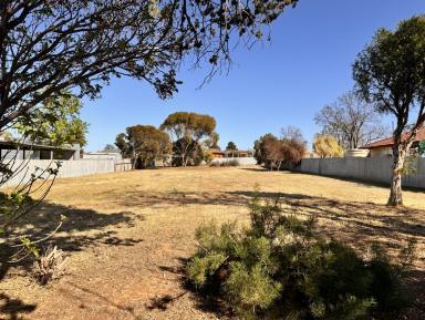 Residential Block Auction - VIC - Ouyen - 3490 - Affordable 1/4 acre block!  (Image 2)