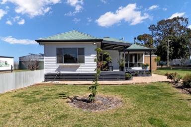 House Sold - VIC - Red Cliffs - 3496 - Charming Semi-Rural Retreat on Over 4 Acres  (Image 2)