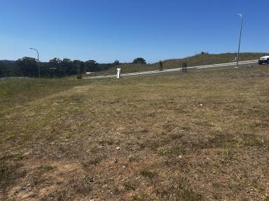 Residential Block For Sale - NSW - Coffs Harbour - 2450 - A level block with great views.  (Image 2)