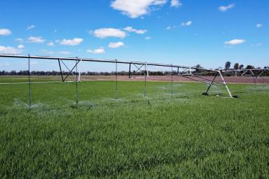 Mixed Farming Sold - QLD - Dixalea - 4702 - Central Queensland Grazing & Irrigation Property  (Image 2)