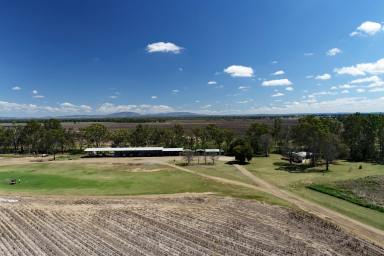 Mixed Farming Sold - QLD - Dixalea - 4702 - Central Queensland Grazing & Irrigation Property  (Image 2)