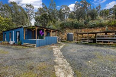 House For Sale - TAS - Somerset - 7322 - Beautiful Back Cam Road  (Image 2)