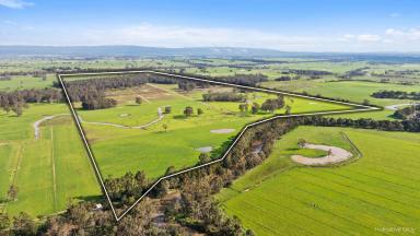 Mixed Farming For Sale - VIC - Flynn - 3844 - CORNER OF STUCKEYS LANE AND PRINCESS HIGHWAY, FLYNN  (Image 2)