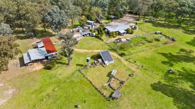 Acreage/Semi-rural For Sale - VIC - Munro - 3862 - Secluded Lifestyle Property  (Image 2)