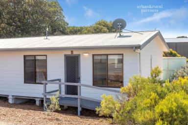 Other (Residential) For Sale - SA - Marion Bay - 5575 - Amazing Seaside Location * Beachfront * Opposite the Taven & General Store * Offers Presented  (Image 2)