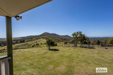 Livestock For Sale - QLD - Ingoldsby - 4343 - OH THOSE VIEWS!! SIMPLY STUNNING!!  (Image 2)