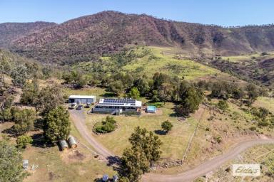 Livestock For Sale - QLD - Ingoldsby - 4343 - OH THOSE VIEWS!! SIMPLY STUNNING!!  (Image 2)