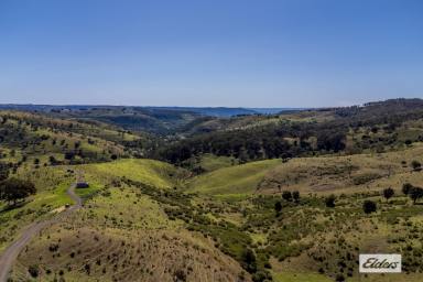 Livestock For Sale - QLD - Ingoldsby - 4343 - OH THOSE VIEWS!! SIMPLY STUNNING!!  (Image 2)