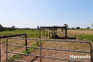 Residential Block For Sale - QLD - Doolbi - 4660 - JUST OVER 20 ACRES RIGHT ON THE DOOR STEP OF CHILDERS  (Image 2)