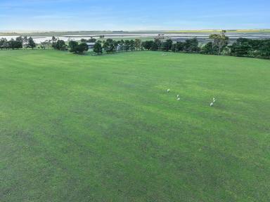 Cropping For Sale - VIC - Pura Pura - 3271 - VERSATILE CENTRAL SOUTHWEST VICTORIAN COUNTRY  (Image 2)