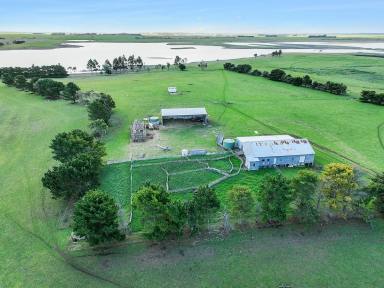 Cropping For Sale - VIC - Pura Pura - 3271 - VERSATILE CENTRAL SOUTHWEST VICTORIAN COUNTRY  (Image 2)