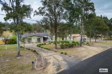 House For Sale - NSW - Wolumla - 2550 - HORSE LOVER'S PARADISE  (Image 2)