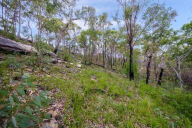 Residential Block For Sale - NSW - Glenorie - 2157 - Premium Acreage with Stunning Views  (Image 2)