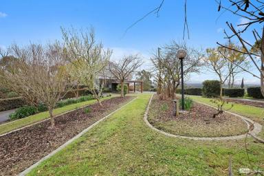 Lifestyle For Sale - VIC - Tetoora Road - 3821 - Lifestyle property with Amazing Views and Passive Income ..  (Image 2)
