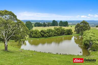 Lifestyle For Sale - VIC - Tetoora Road - 3821 - Are these the best views in West Gippsland?  (Image 2)