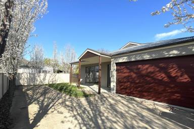 Townhouse For Lease - VIC - Mansfield - 3722 - Modern & Spacious 3-Bedroom Unit for Rent  (Image 2)