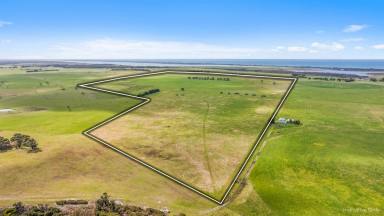 Mixed Farming For Sale - VIC - Seaspray - 3851 - PRIME GRAZING/CROPPING PROPERTY WITH BRILLIANT VIEWS OVER BASS STRAIGHT  (Image 2)