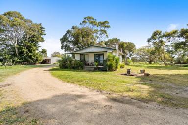 Mixed Farming For Sale - VIC - Seaspray - 3851 - High-Quality Grazing/Cropping Property  (Image 2)