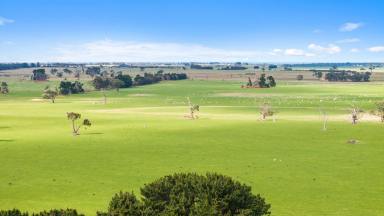 Mixed Farming For Sale - VIC - Seaspray - 3851 - High-Quality Grazing/Cropping Property  (Image 2)