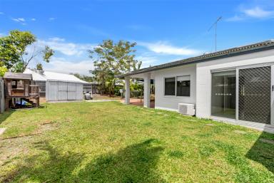 House Leased - QLD - Kewarra Beach - 4879 - SPACIOUS FAMILY HOME - SWIMMING POOL  (Image 2)