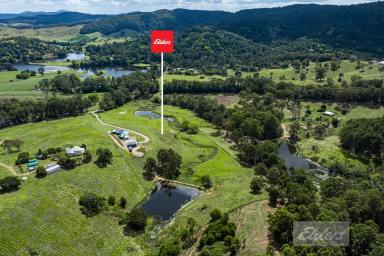 House For Sale - QLD - Cedar Pocket - 4570 - The ULTIMATE Premium Acreage Property.  (Image 2)