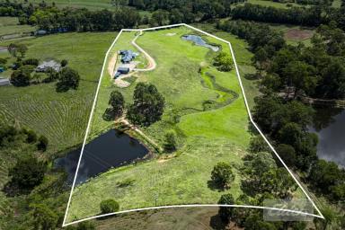 House For Sale - QLD - Cedar Pocket - 4570 - The ULTIMATE Premium Acreage Property.  (Image 2)