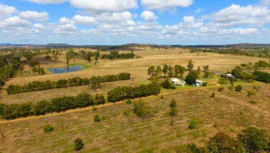 Acreage/Semi-rural For Sale - QLD - Mount Steadman - 4625 - Beautiful Perry View : 194 Acres of Cleared Land & Historic Homestead  (Image 2)