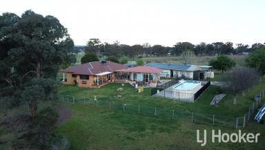 Lifestyle For Sale - NSW - Inverell - 2360 - 'Live Off The Land' – The Complete Package  (Image 2)