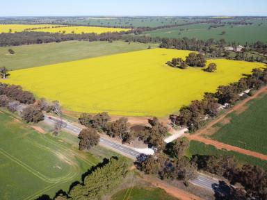 Lifestyle For Sale - NSW - Ariah Park - 2665 - 41 Acres + Dwelling Entitlement* + Town Water  (Image 2)