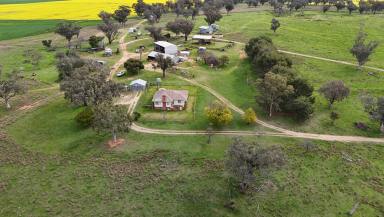 Cropping Sold - NSW - Gooloogong - 2805 - Expansion Opportunity  (Image 2)