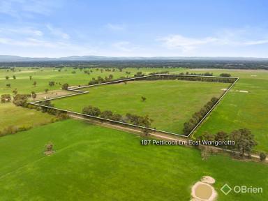 Acreage/Semi-rural For Sale - VIC - Wangaratta - 3677 - Land a plenty  (Image 2)