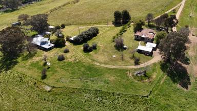 Mixed Farming For Sale - NSW - Canowindra - 2804 - Millambri  (Image 2)