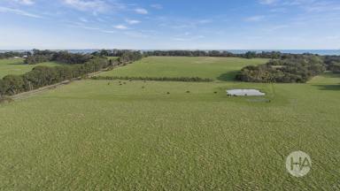 Acreage/Semi-rural For Sale - VIC - Somers - 3927 - Dream Seaside Location  (Image 2)