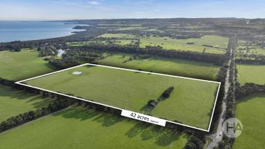 Acreage/Semi-rural For Sale - VIC - Somers - 3927 - Dream Seaside Location  (Image 2)