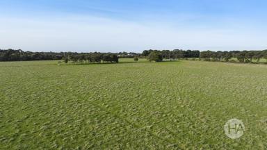 Acreage/Semi-rural Sold - VIC - Somers - 3927 - Dream Seaside Location  (Image 2)