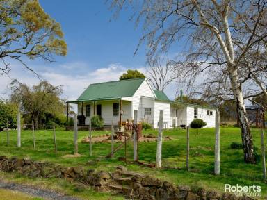 House For Sale - TAS - Ellendale - 7140 - Fantastic Working Farm in a Great Location  (Image 2)