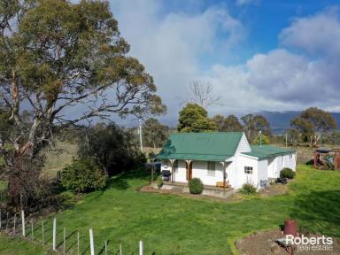 House For Sale - TAS - Ellendale - 7140 - Fantastic Working Farm in a Great Location  (Image 2)