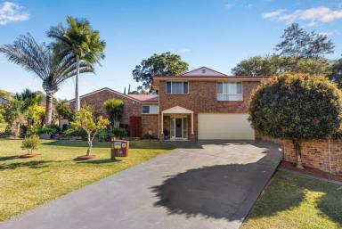 House For Sale - NSW - Coffs Harbour - 2450 - Large home , with perfect outdoor living plus large shed.  (Image 2)